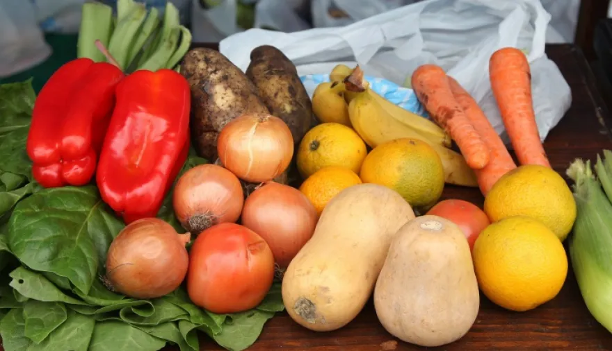 agroalimentos-24-07-15-03