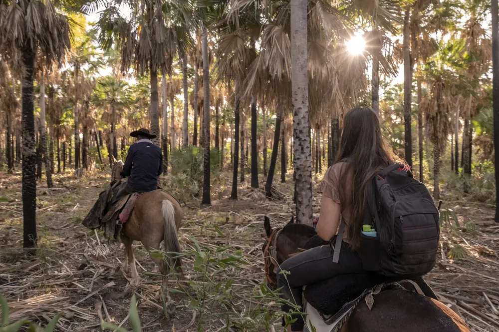 Parque-Nacional-El-Impenetrable-24-07-31-04