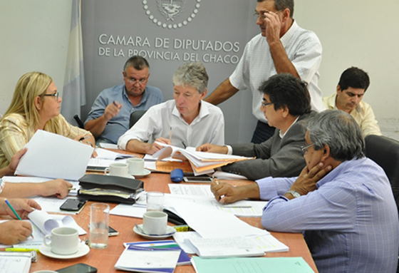 Labor-parlamentaria-17-04-04-01