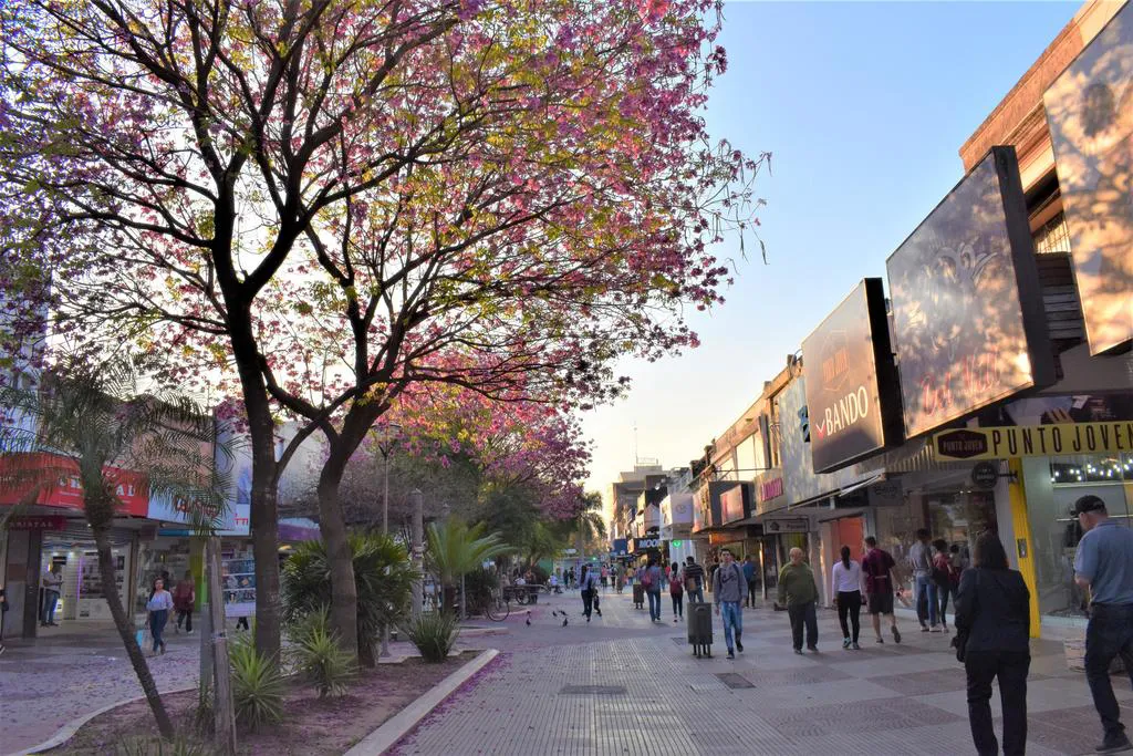 Peatonal-24-12-12-01