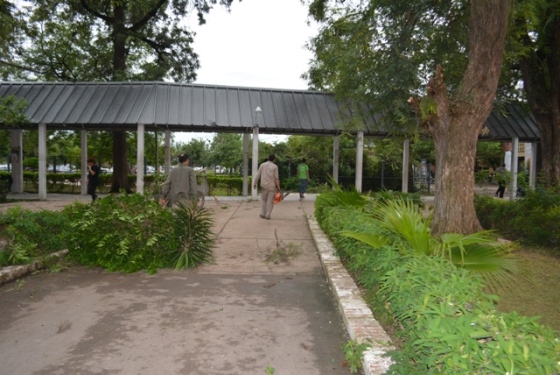 UPCP-Jornada-de-desmalezamiento-17-02-11-01