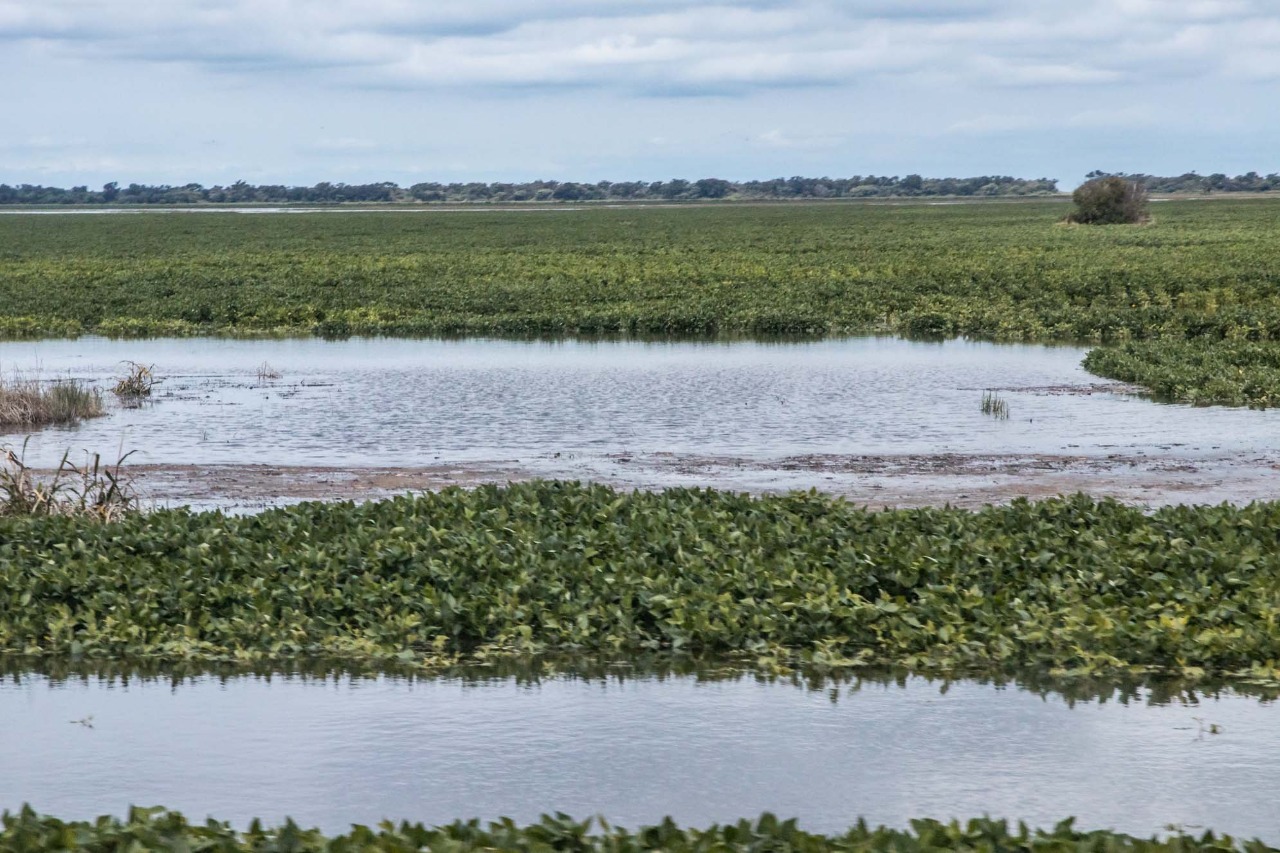 Emergencia-hidrica-Sudoeste-12-02-17-01