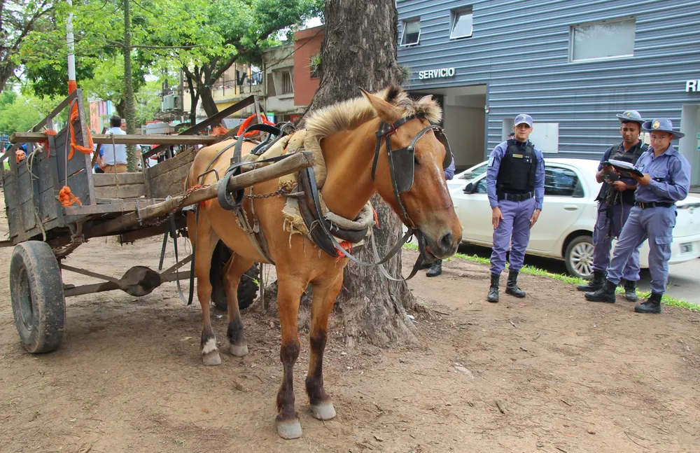 Secuestran-carro-24-11-06-02