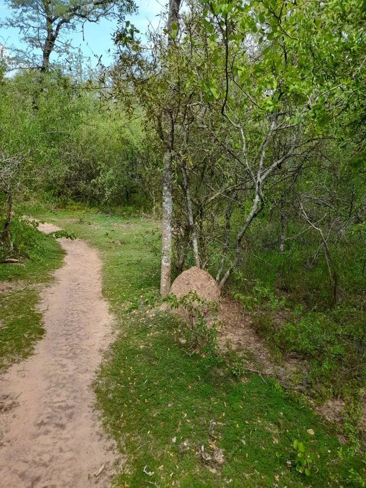 Parque-Nacional-Loro-Habladoor-22-05-20-01