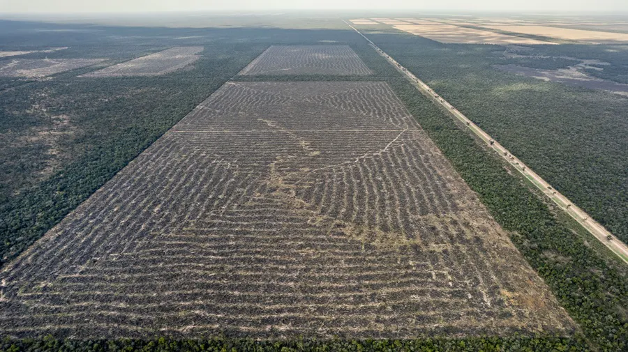 Desmontes-Chaco-19- ©- Martin Katz-Greenpeace-25-08-26-09