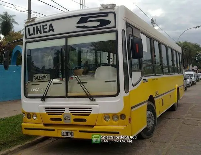 Linea-105 24-08-29-01